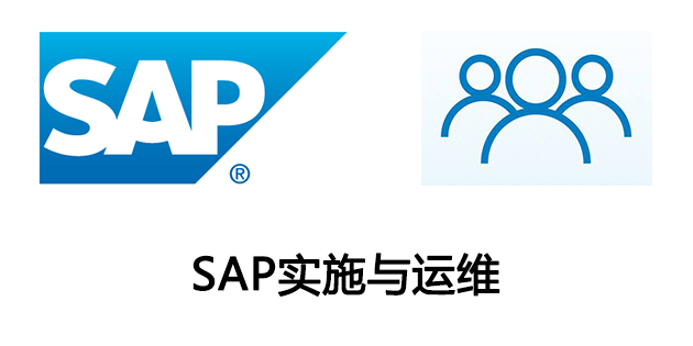 選擇SAP實施商時需要注意什么？