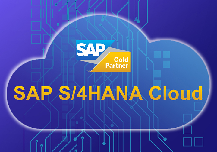 SAP ERP公有云代理商找哪家？如何查詢ES實施商資質？