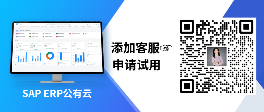 SAP ERP 公有云